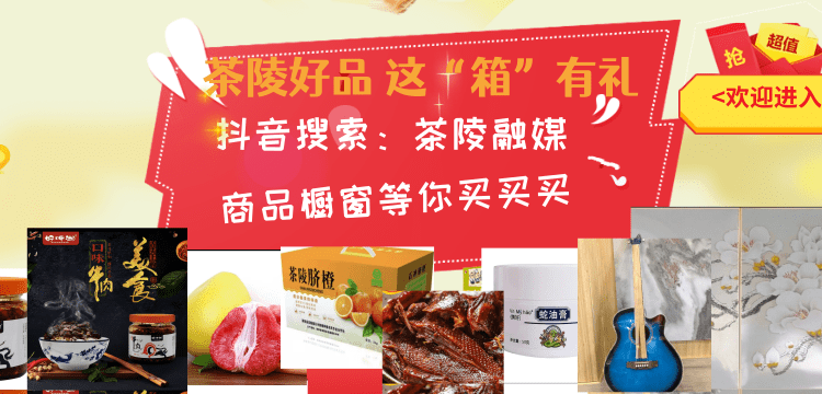 茶陵县检察院对涉企案件举行公开听证