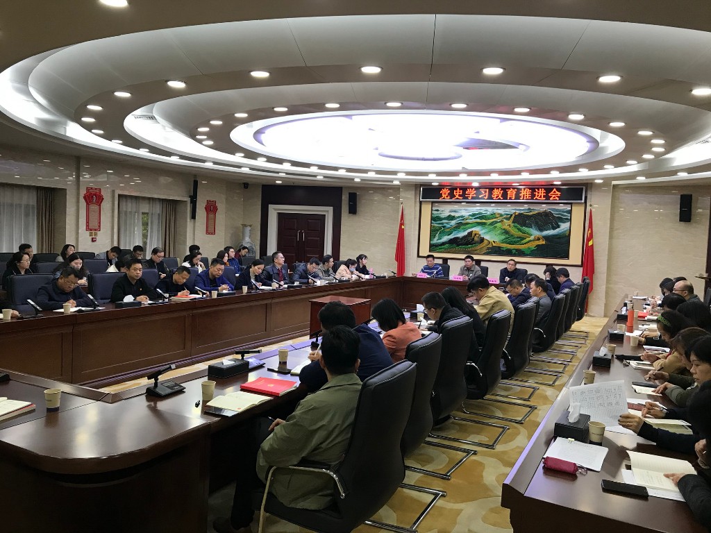 株洲市自然资源和规划局召开党史学习教育推进会