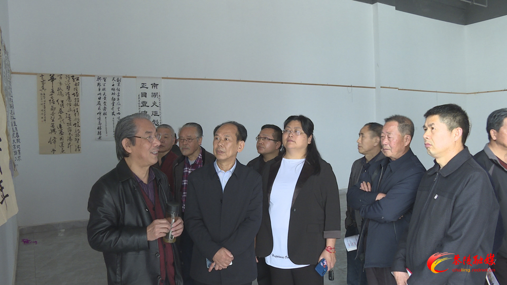 株洲市诗词协会书画作品点评会走进茶陵