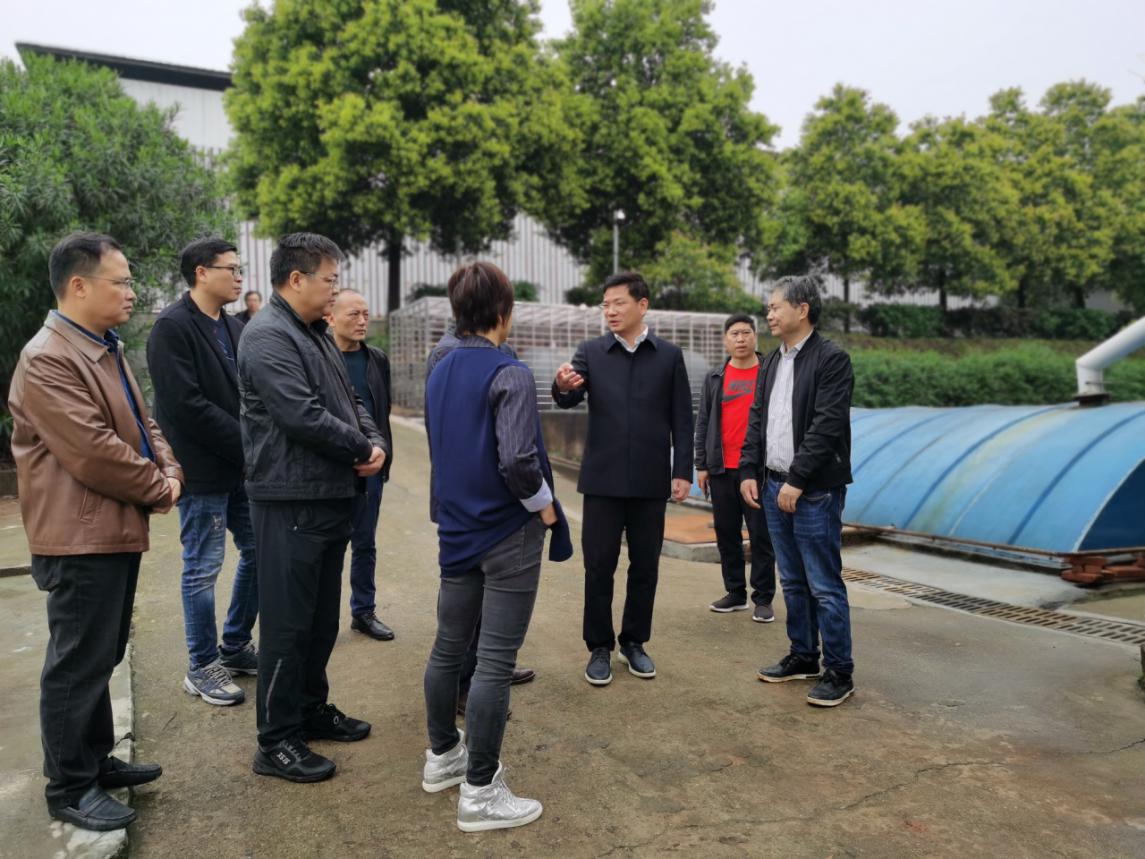 督察进行时，副市长王卫安督查生态环境问题整改情况