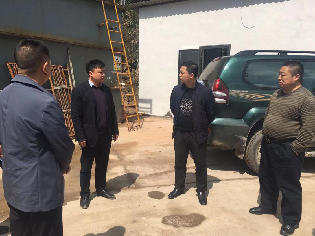 醴陵市人民政府副市长唐宁率队对全市重点生态环境问题开展现场督察