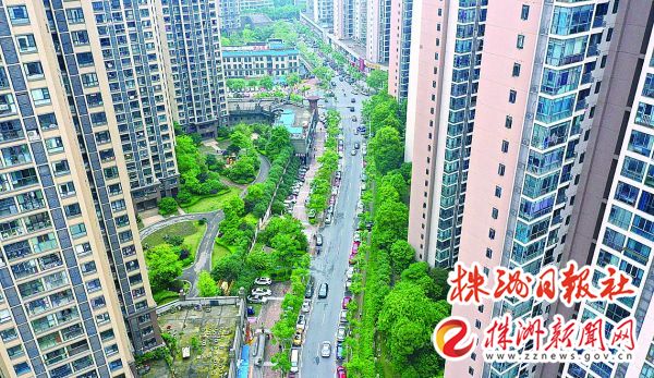庐山春天道路：曾经是“羊肠小道”如今，改造拉动了区域“微循环”