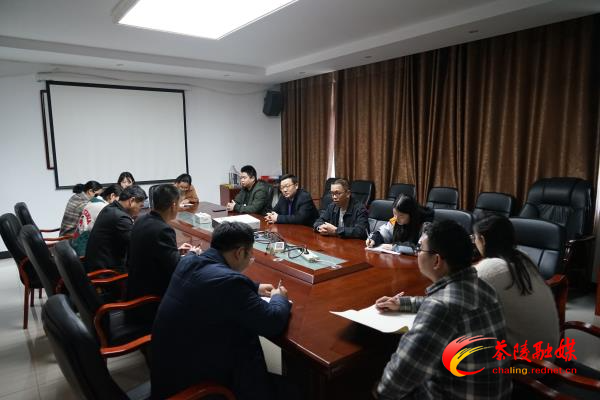 罗峰视察指导党史学习教育工作