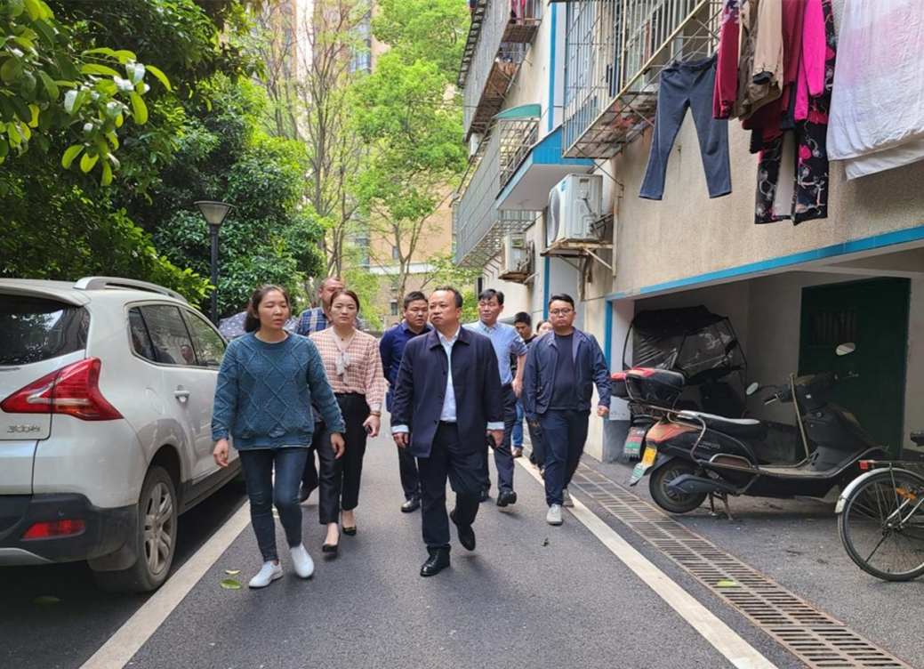 区长杨晓江带队督查国卫复审迎检工作