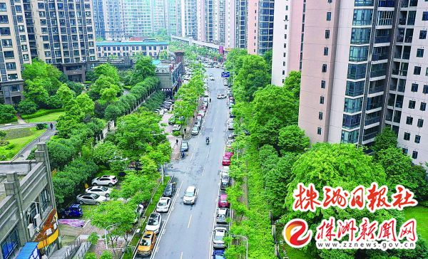 庐山春天道路：曾经是“羊肠小道”如今，改造拉动了区域“微循环”