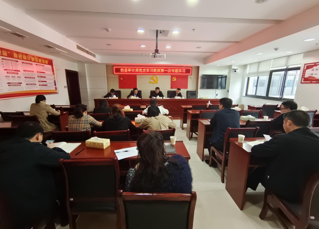 攸县审计局党组开展党史学习教育第一次专题学习
