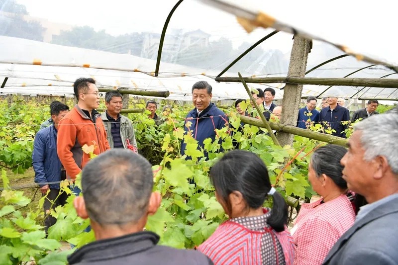 习近平在广西考察时强调 解放思想深化改革凝心聚力担当实干 建设新时代中国特色社会主义壮美广西