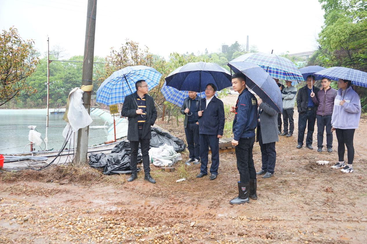 心齐劲足氛围好