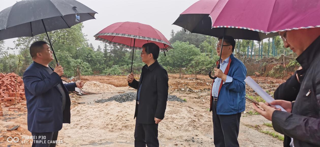 王卫安副市长现场督办突出生态环境问题整改工作