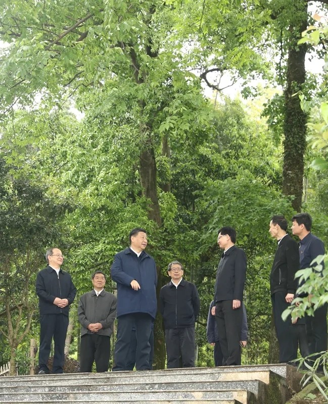 习近平在广西考察时强调 解放思想深化改革凝心聚力担当实干 建设新时代中国特色社会主义壮美广西