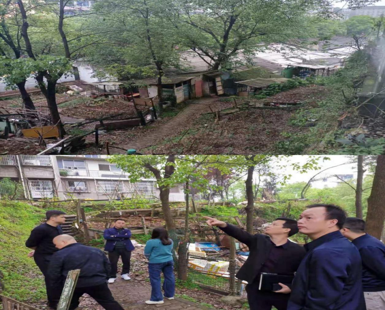 荷塘区副区长带队督查湘华社区交办问题