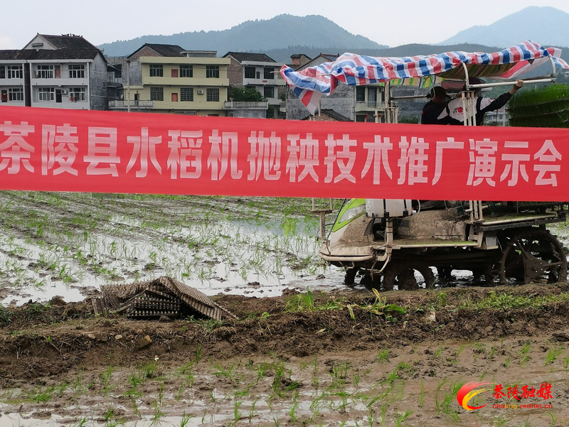 茶陵县举办水稻机抛秧作业现场演示会