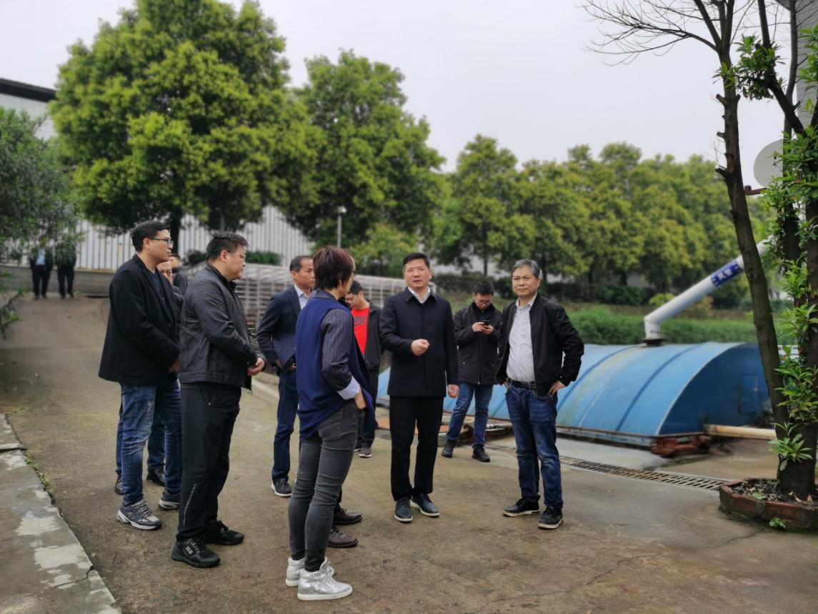 督察进行时，副市长王卫安督查生态环境问题整改情况