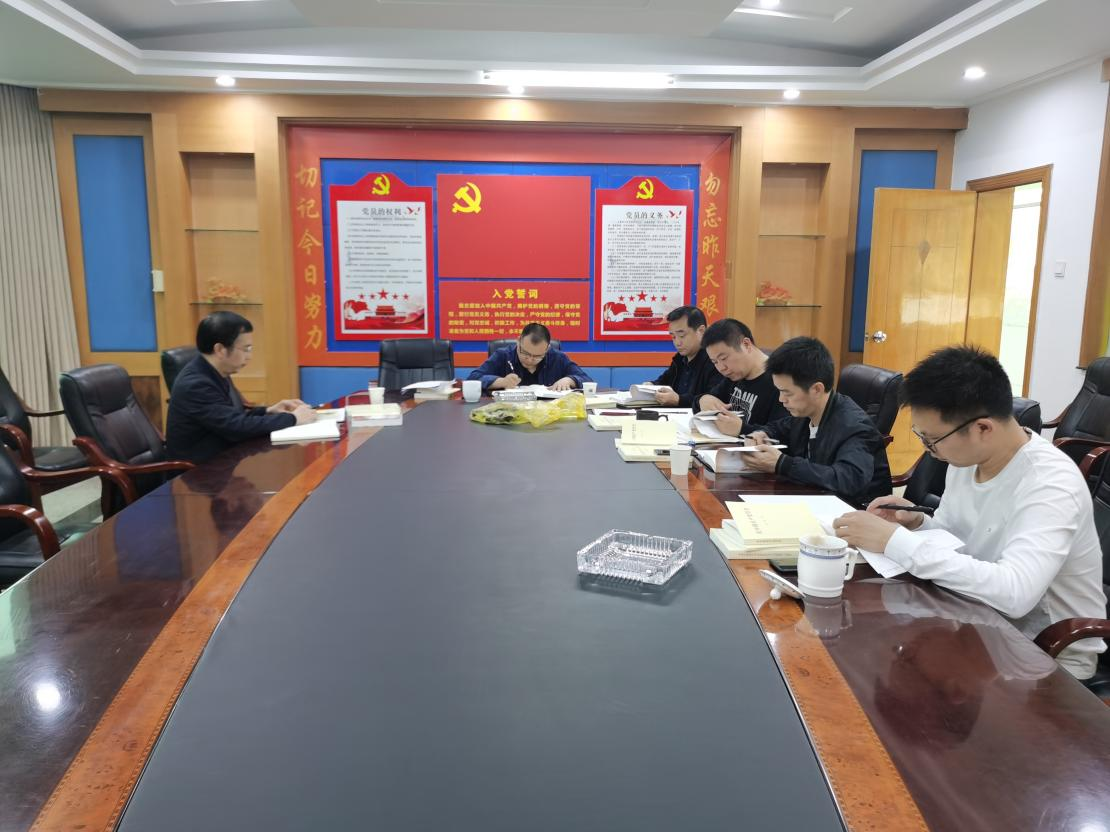 学党史 开新局 攸县分局班子成员开展党史学习