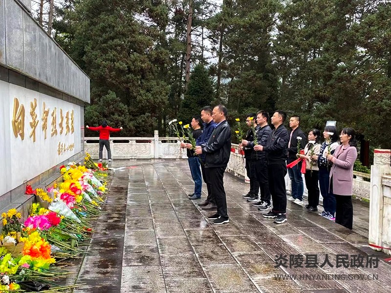 县委编办：开展清明祭英烈主题党日活动