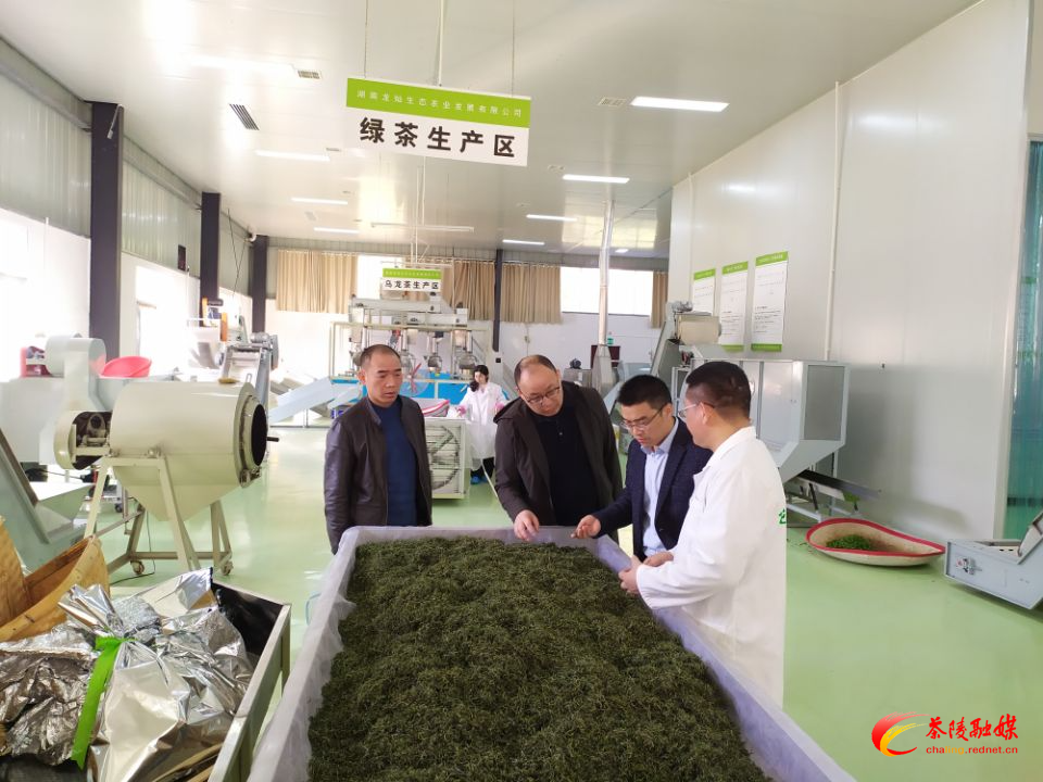茶陵县市场监督管理局面对面手把手上门为企业答疑