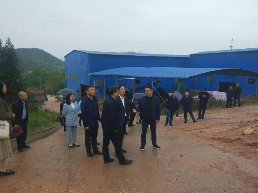 王利波现场督导江南砂石厂生态环境问题整改情况