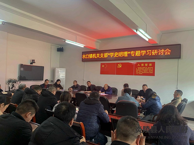 水口镇开展党史学习教育"学史明理"专题学习研讨