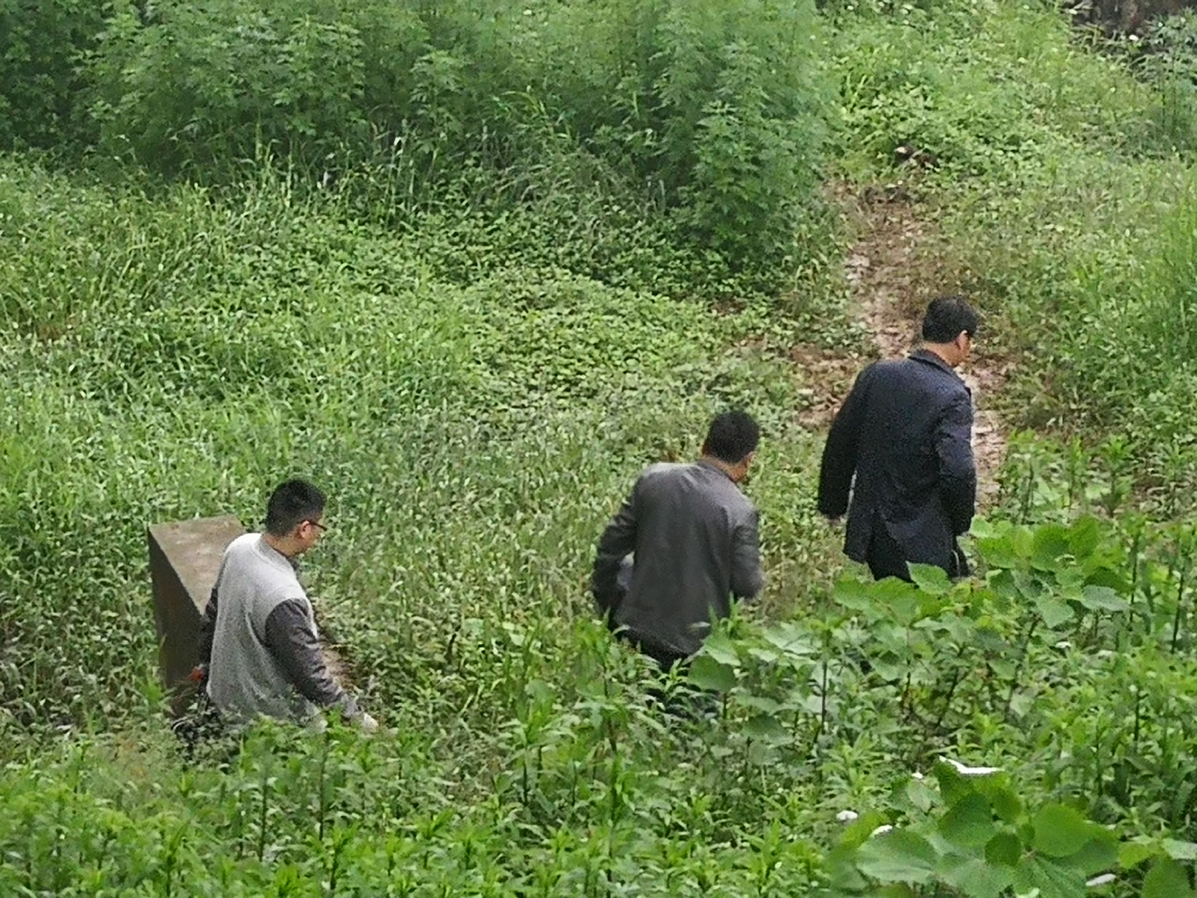 石峰区邹志超区长对石峰段入湘江排口进行现场检查