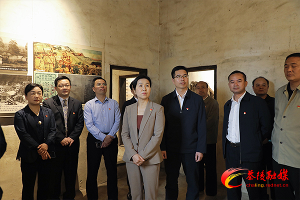 茶陵县委理论学习中心组开展党史学习教育第一次专题学习