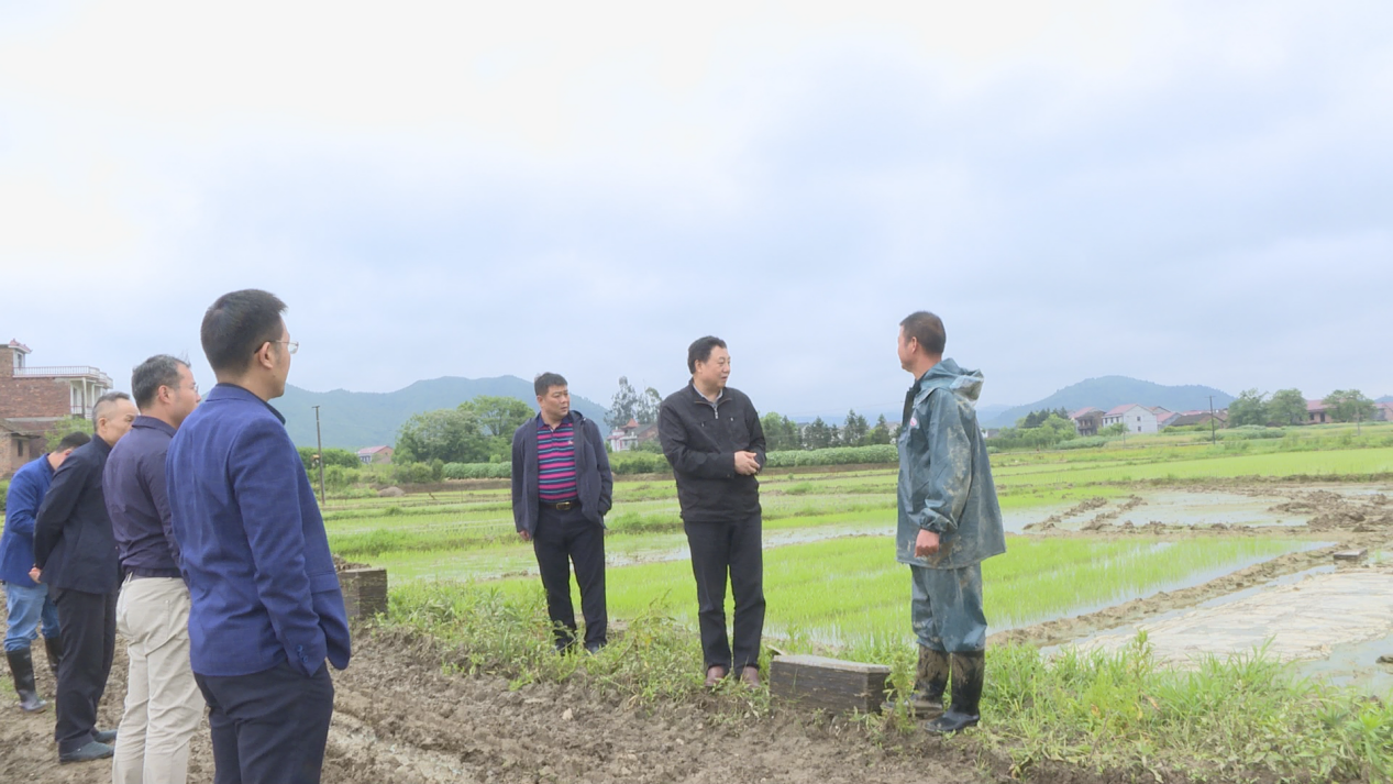 省农机事务中心纪委书记王洪明带队来茶调研农机春耕工作