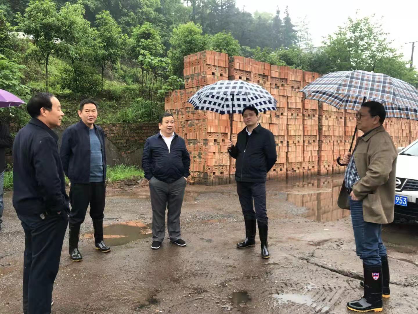 带头靠前指挥调度，抓实环境突出问题
