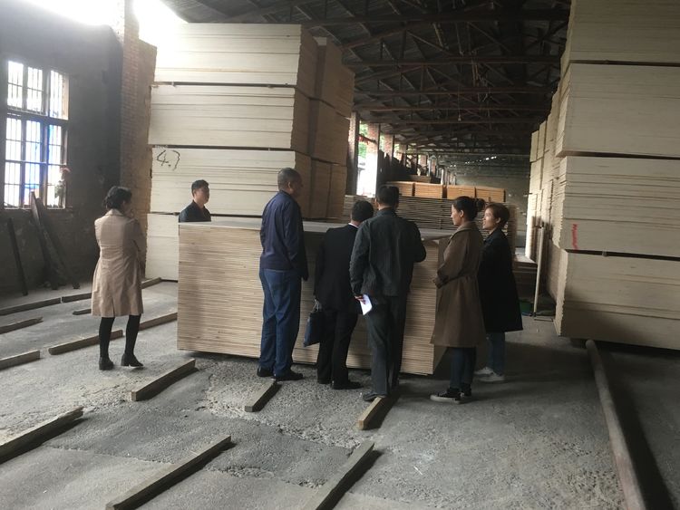 当下改,长久立!芦淞分局持续推进生态环境问题整改落细落实