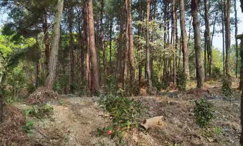 环境问题整改后，这个地方"火"了！
