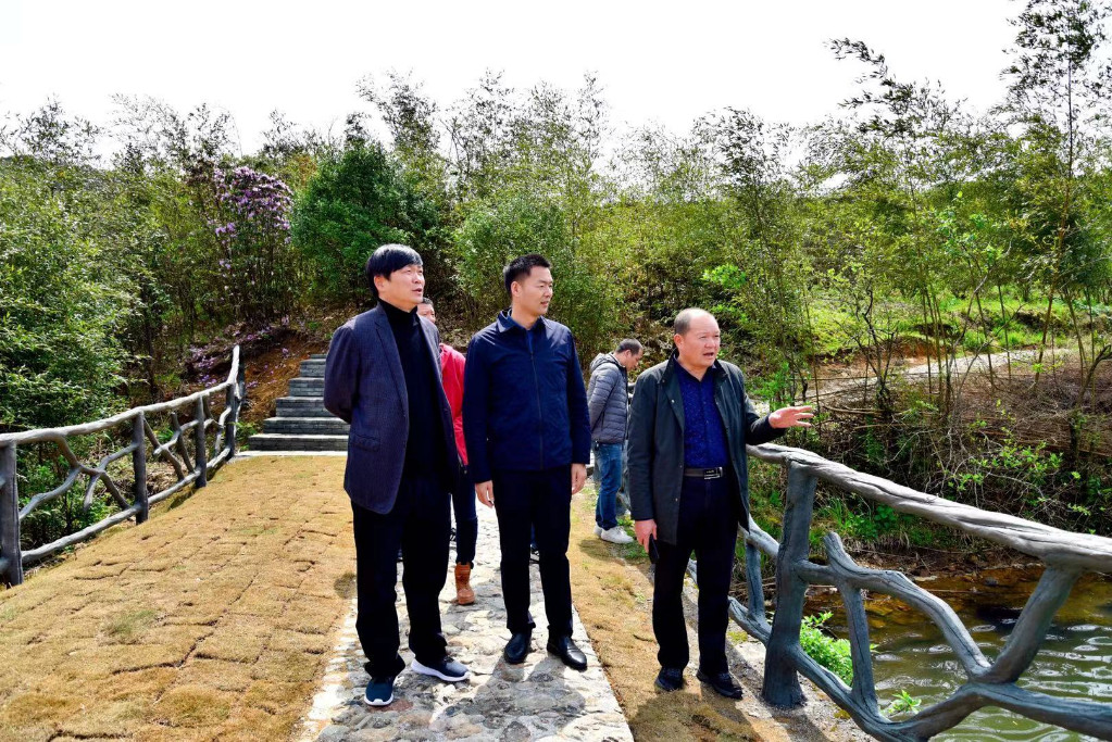 市林业局陈诚局长调研炎陵县大院国有林场森林康养工作