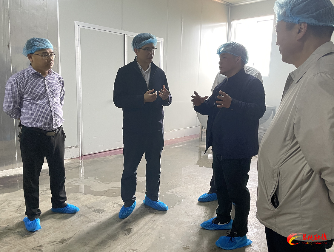 武挪强深入经开区调研产业发展情况