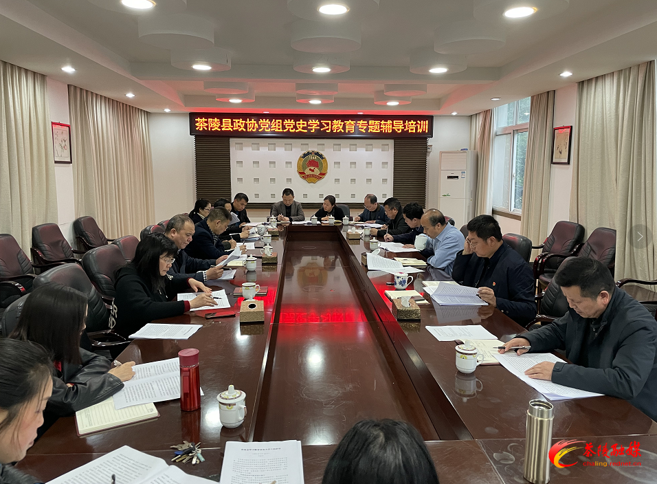 茶陵县政协党组开展党史学习教育专题培训