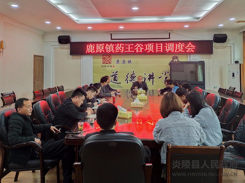 鹿原镇召开神农百草药王谷项目推进会
