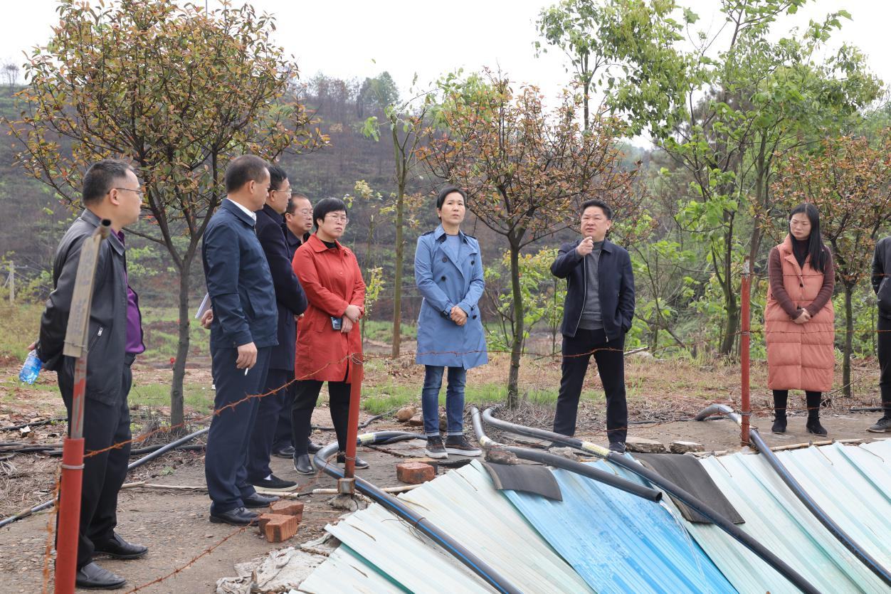 心齐劲足氛围好