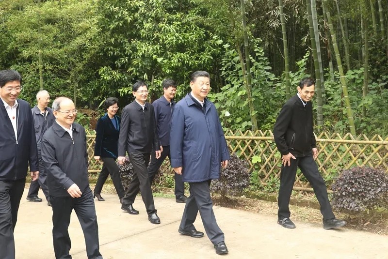 习近平在广西考察时强调 解放思想深化改革凝心聚力担当实干 建设新时代中国特色社会主义壮美广西