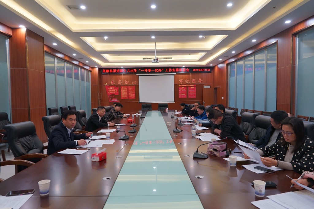 茶陵县召开推进新生儿出生“一件事一次办”工作安排部署会