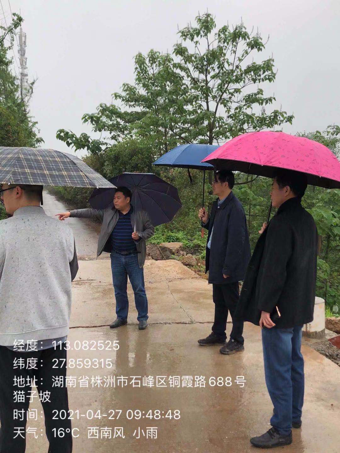 石峰区邹志超区长对石峰段入湘江排口进行现场检查