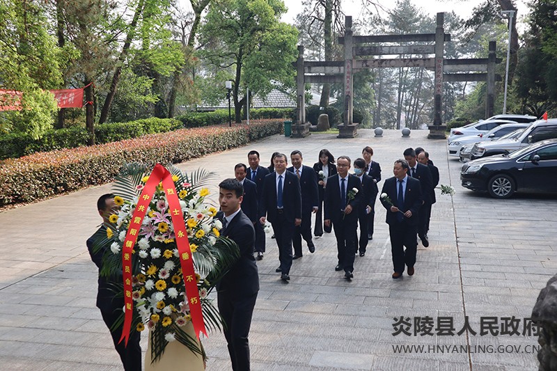 霞阳镇:倡导文明祭扫 缅怀革命先烈