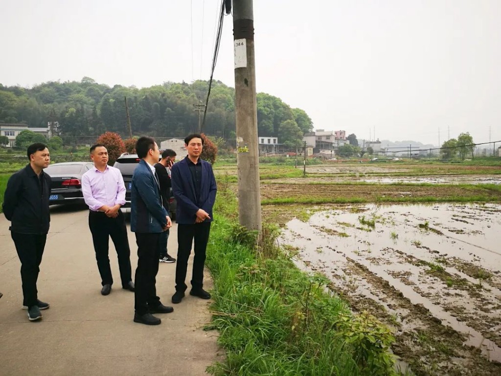 区委书记王建勇督导粮食生产工作