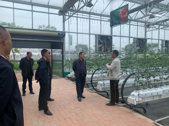 市科技局赴湖南望城农业科技园区开展调研学习