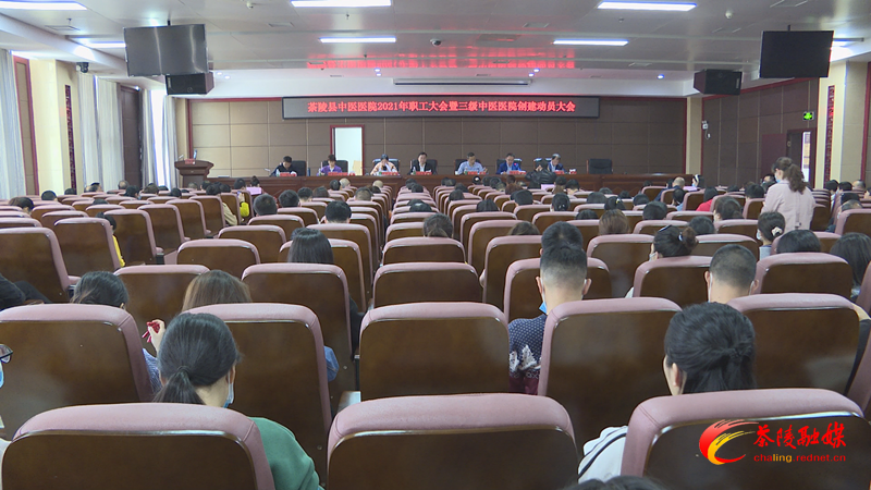 茶陵县中医医院开展2021年职工大会暨三级中医医院创建动员大会