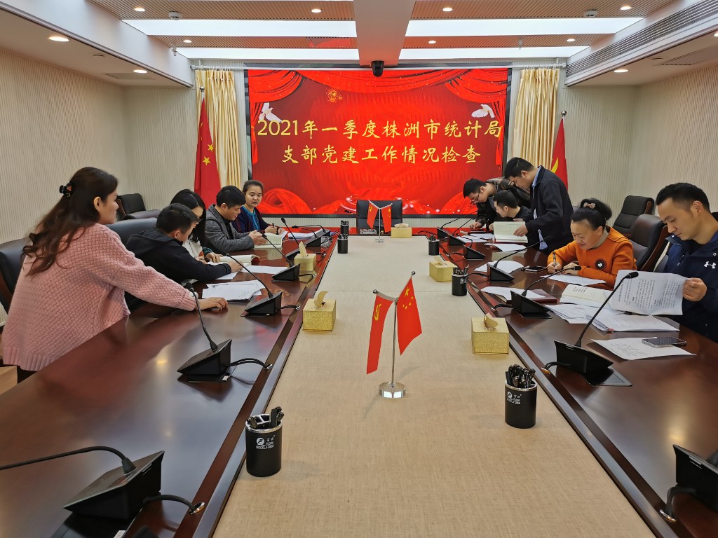 株洲市统计局组织开展一季度支部党建工作检查