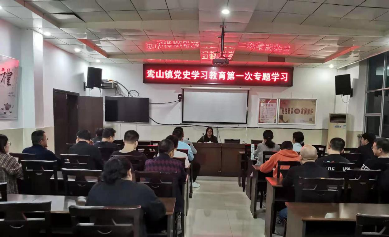 【学党史 开新局】鸾山镇党史学习教育第一次专题学习