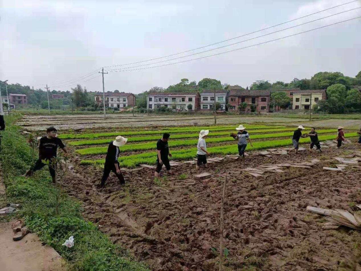 你有困难我来帮——醴陵市农机事务中心帮助合作社渡过难关