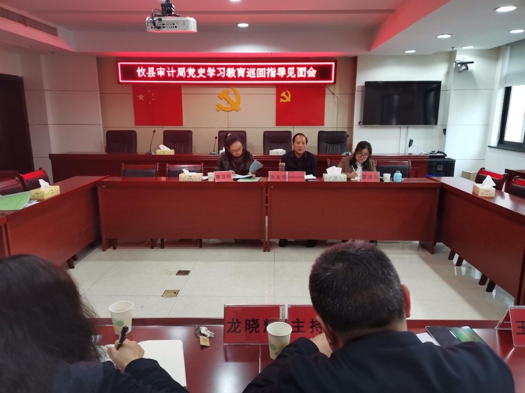 攸县审计局召开党史学习教育           巡回指导见面会