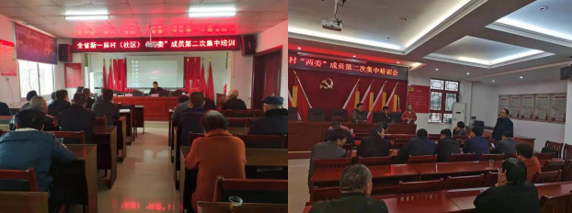 丫江桥镇开展新一届村、社区“两委”成员第二次集中培训线上学习活动
