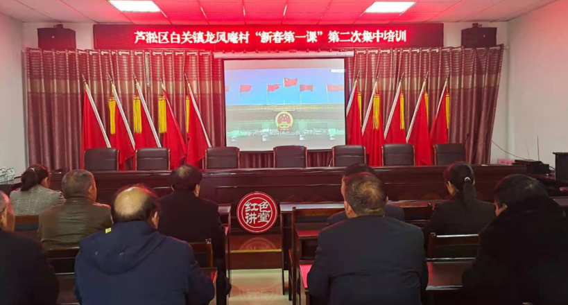 芦淞区组织开展新一届村（社区）“两委”成员第二次集中培训