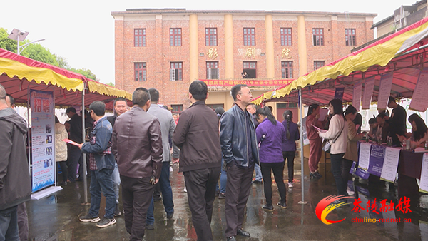 株洲市“百人百企进百村”就业帮扶专项行动专场招聘会走进严塘镇