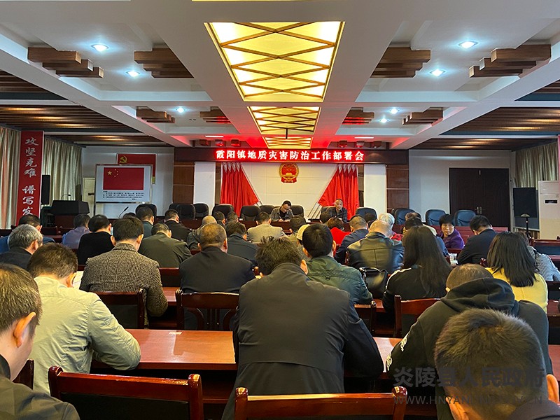 霞阳镇多措并举加强汛期地质灾害防治工作