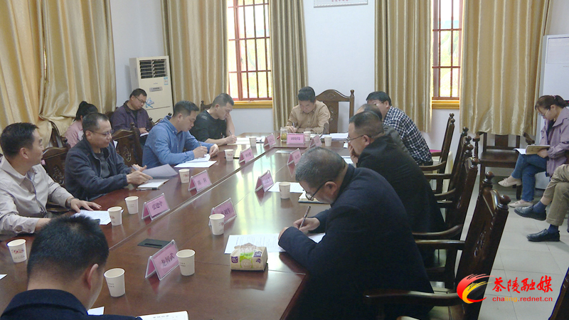 茶陵县召开政法队伍教育整顿第二次座谈会