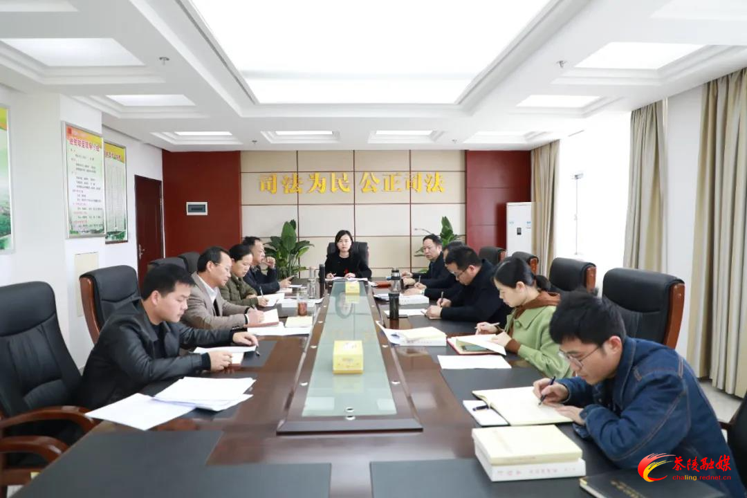 茶陵县法院开展“学史增信”专题学习研讨